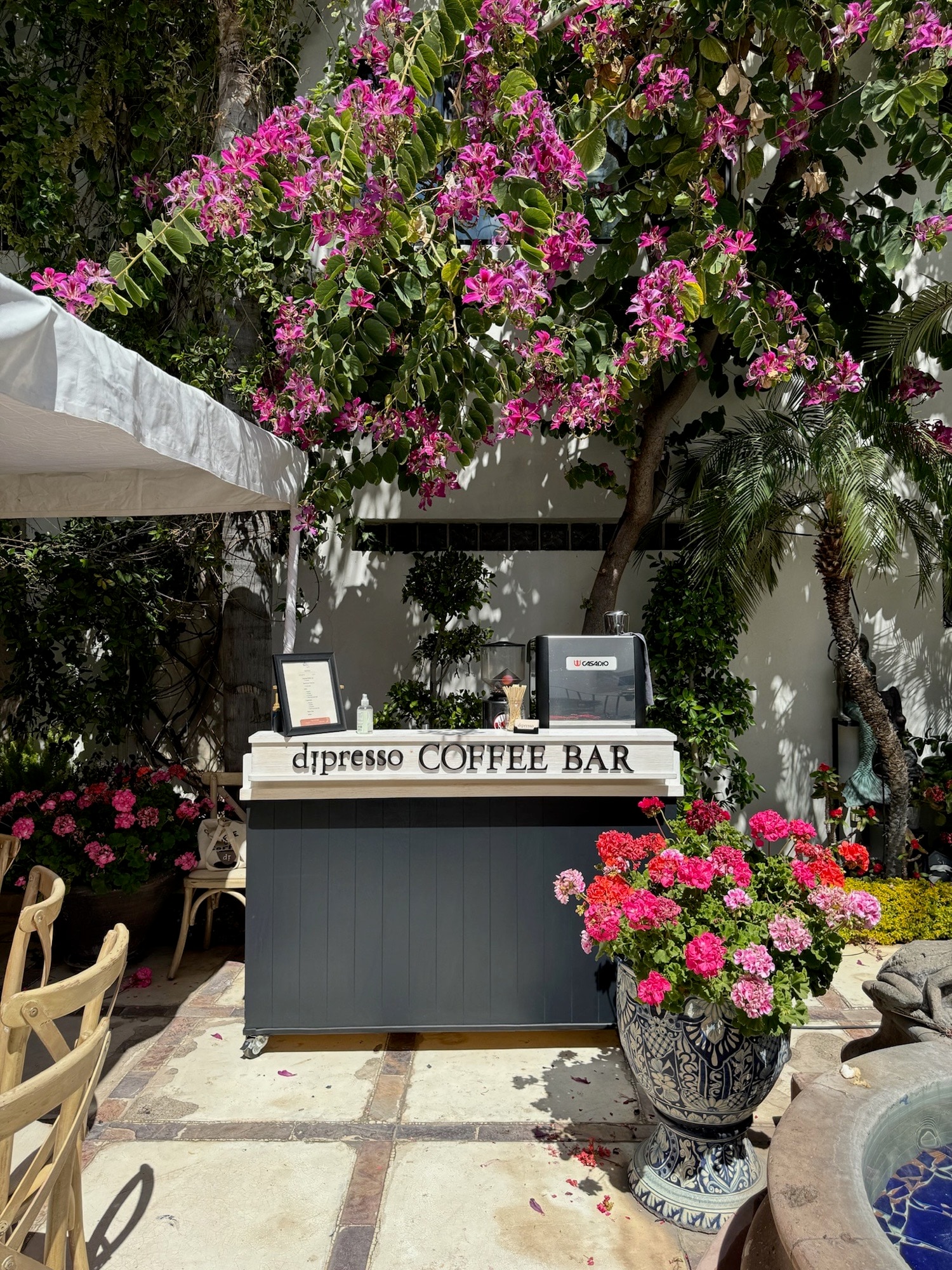 Dipresso coffee bar
