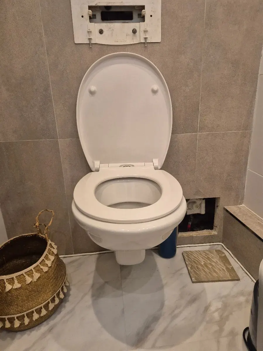 Avant l'intervention : Réparer une chasse d'eau à Paris 11e, photo prise par le client