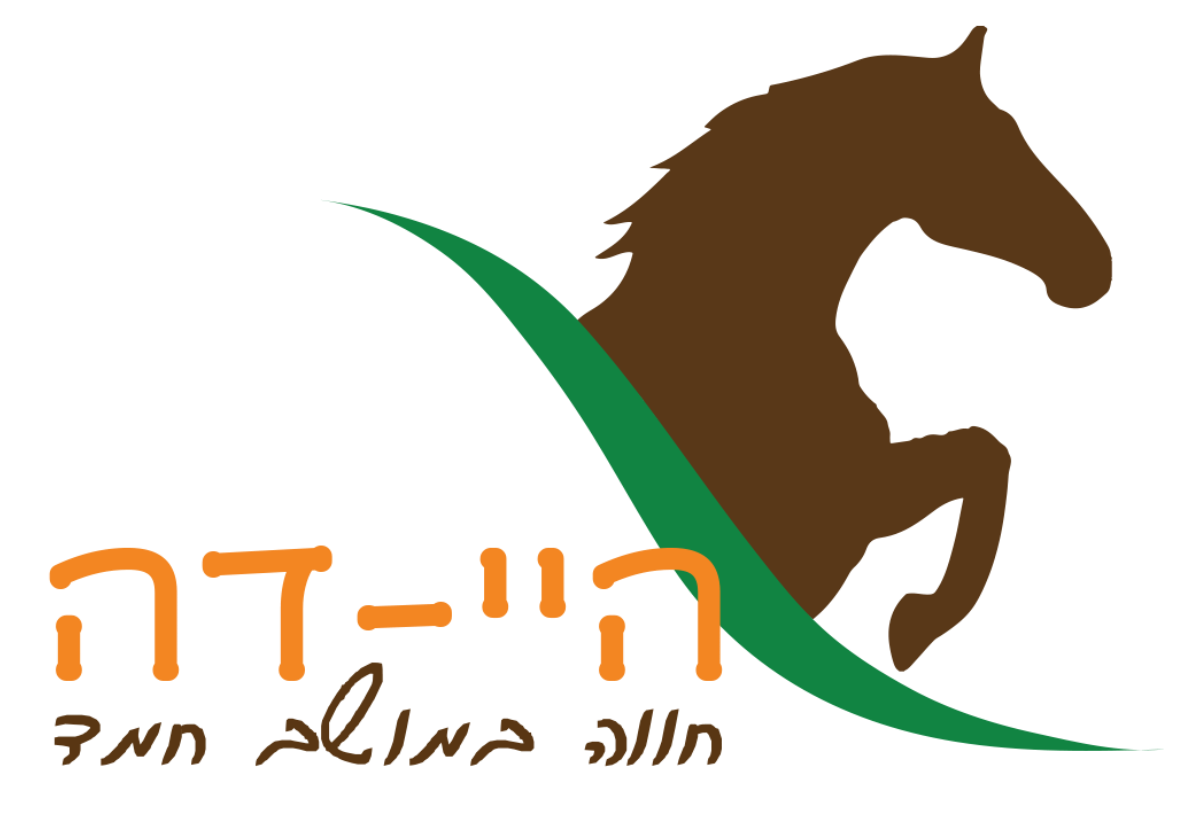 שני עמיתים במשרד מסתכלים על מסך של לפטופ בחיוך
