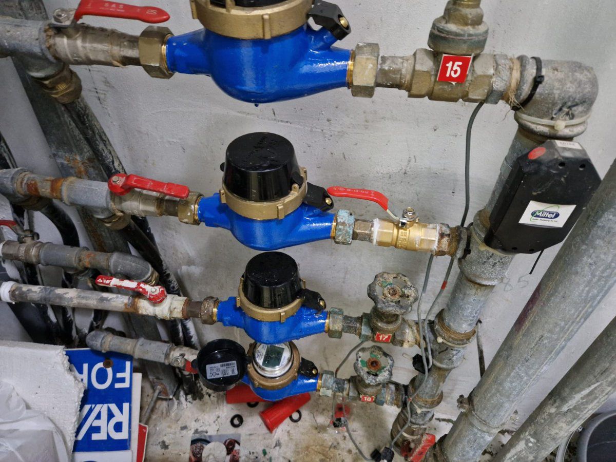 שני עמיתים במשרד מסתכלים על מסך של לפטופ בחיוך