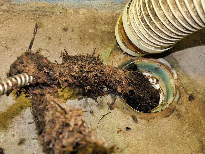 Illustrative Image