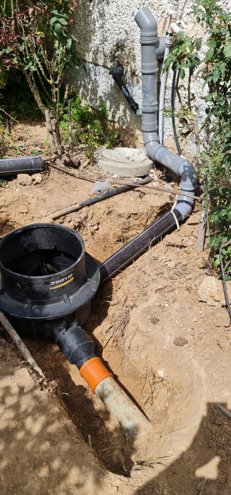 background image, decorative image