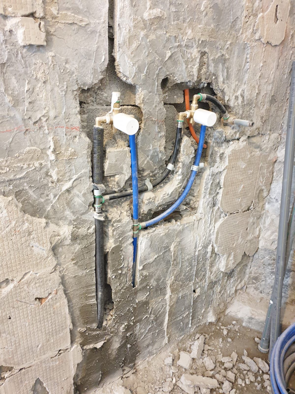 background image, decorative image