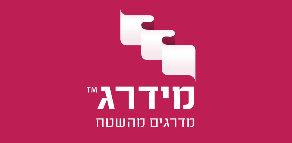 מקצועי
