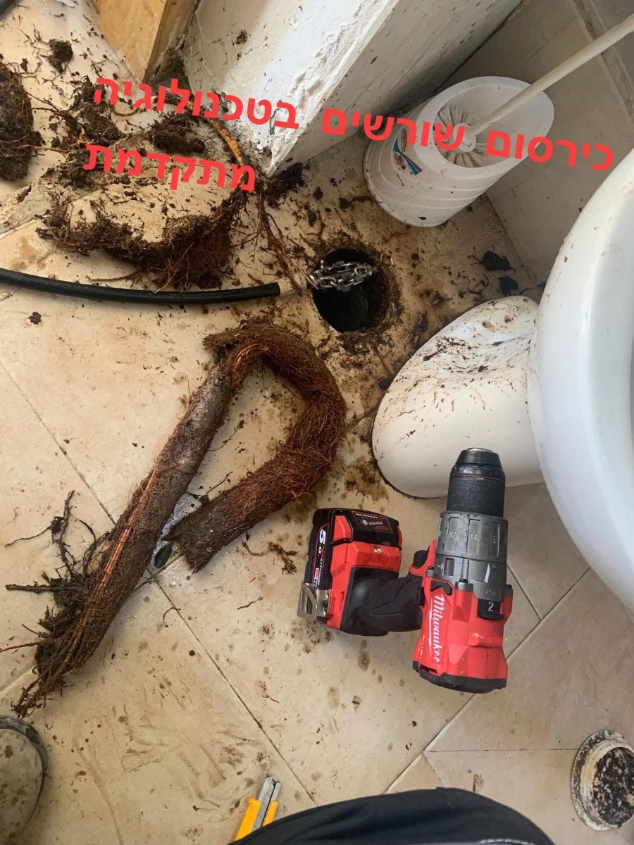 מעמדים מסוגננים לעציצי בית, לתלייה על הקיר