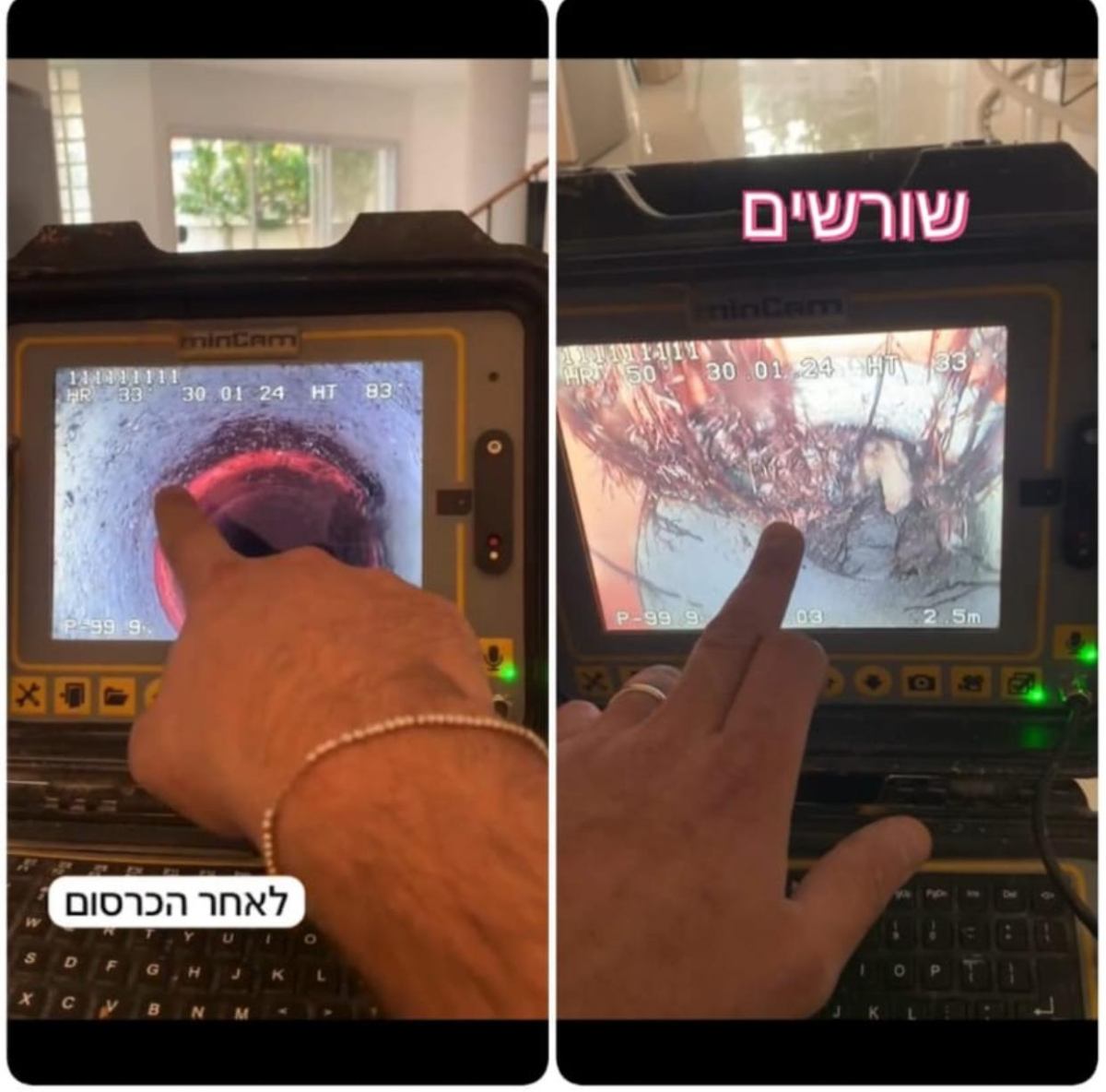 כרסום שורשים ע"י מכרסת