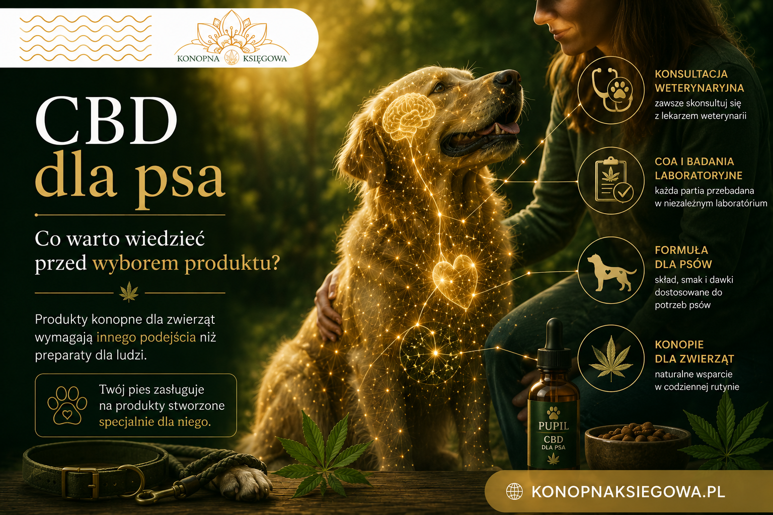 CBD dla psa — poradnik dla opiekunów