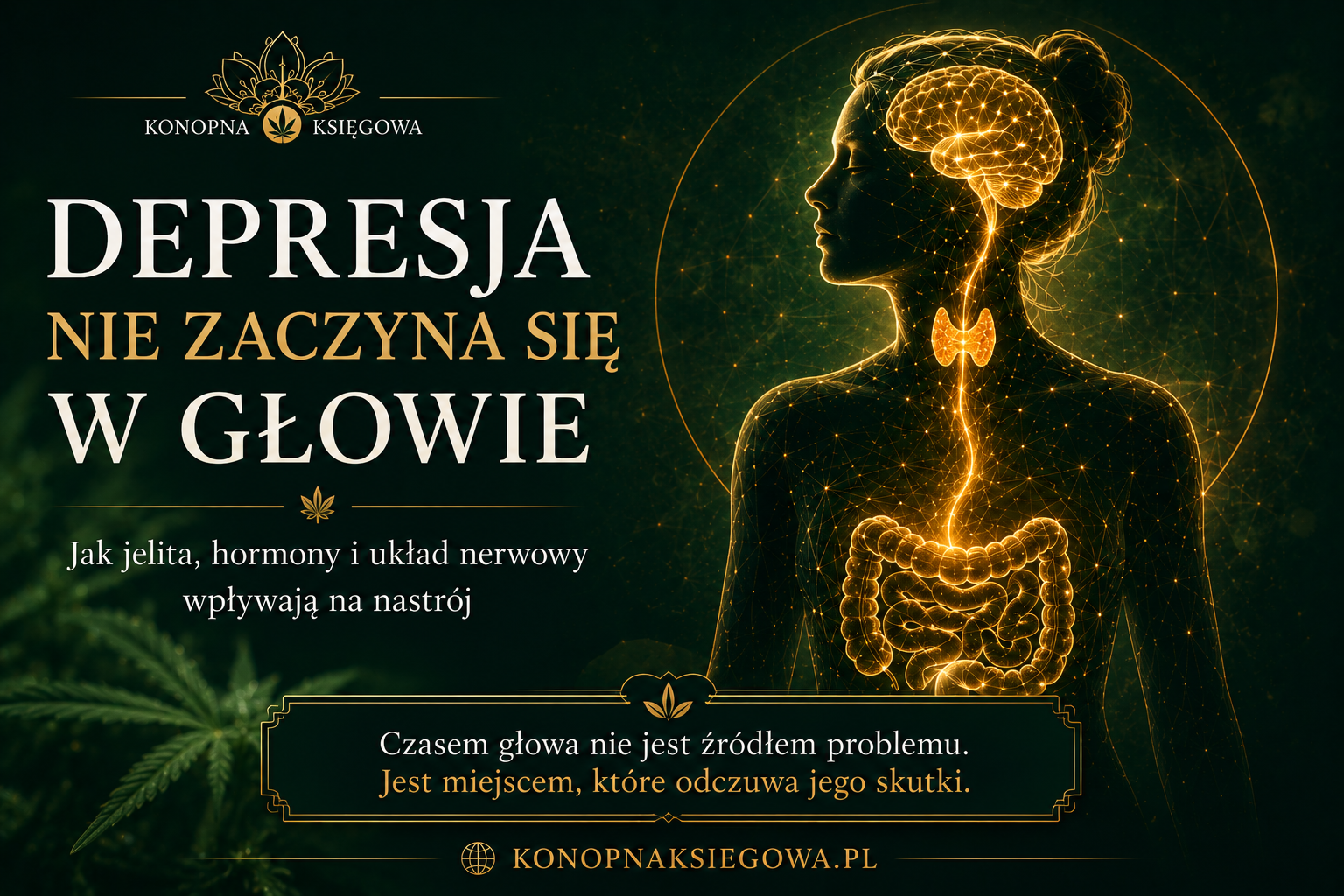 Depresja nie zaczyna się w głowie – naturalne wsparcie układu nerwowego
