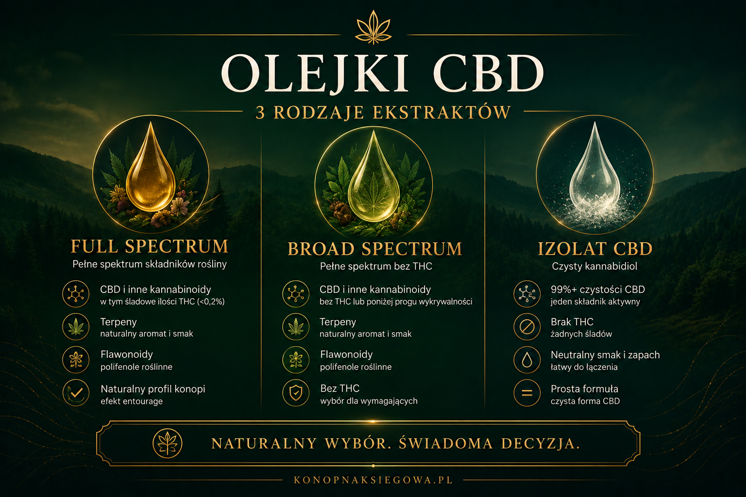 Olejek CBD: full spectrum, broad spectrum czy izolat?