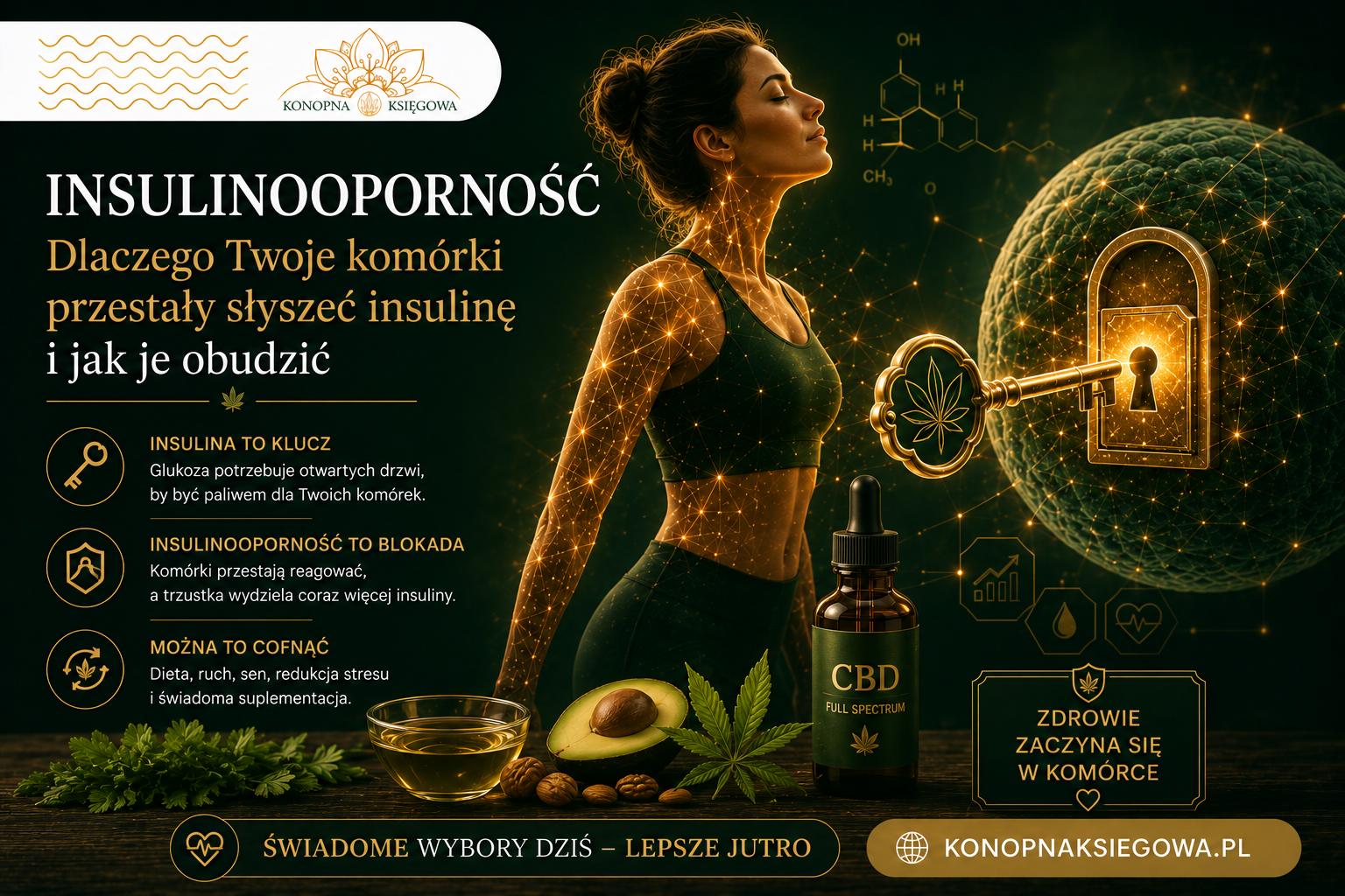 Insulinooporność - objawy, badania i naturalny protokół poprawy wrażliwości insulinowej