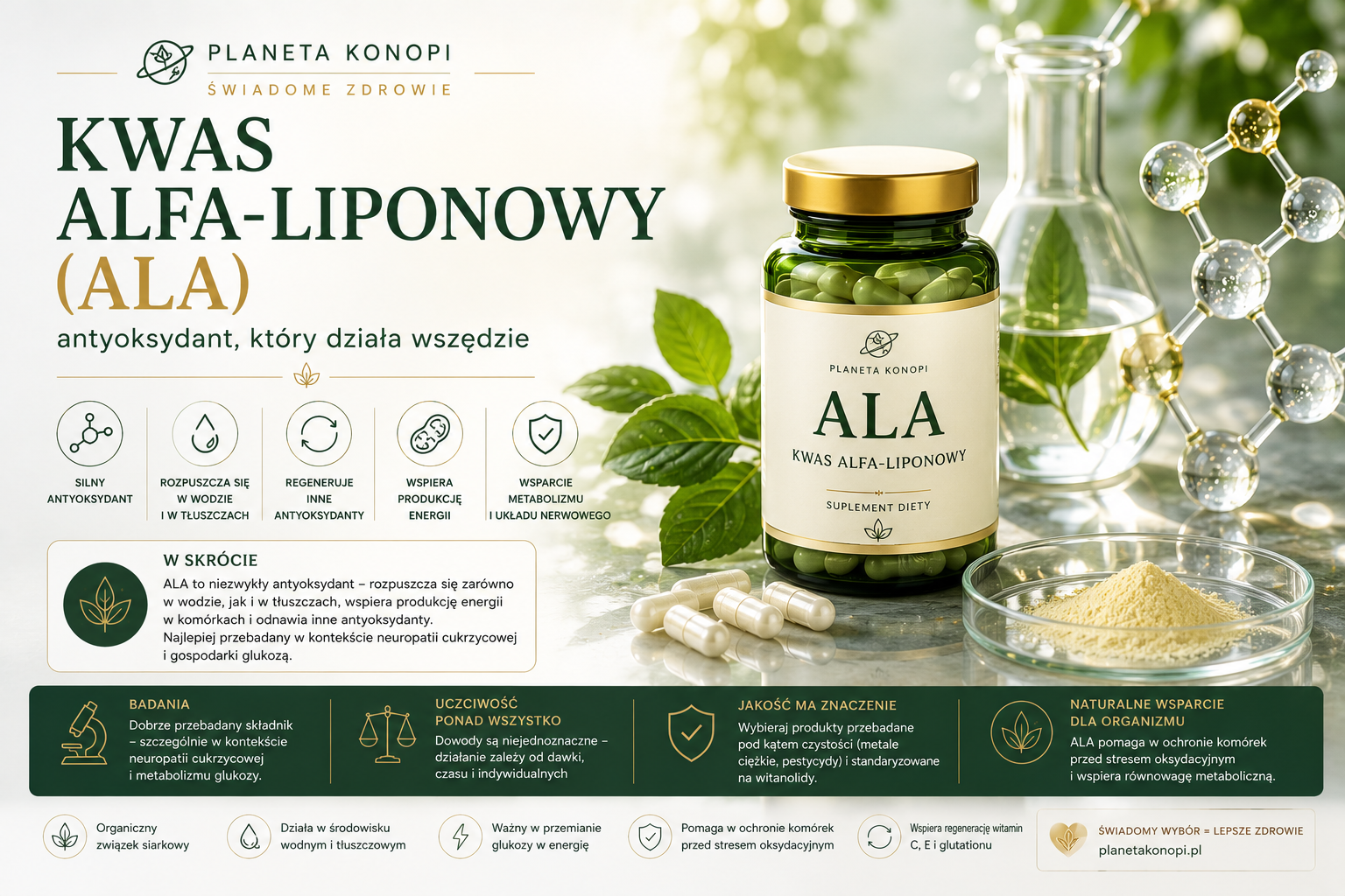 Kwas alfa-liponowy (ALA) - antyoksydant, który działa wszędzie