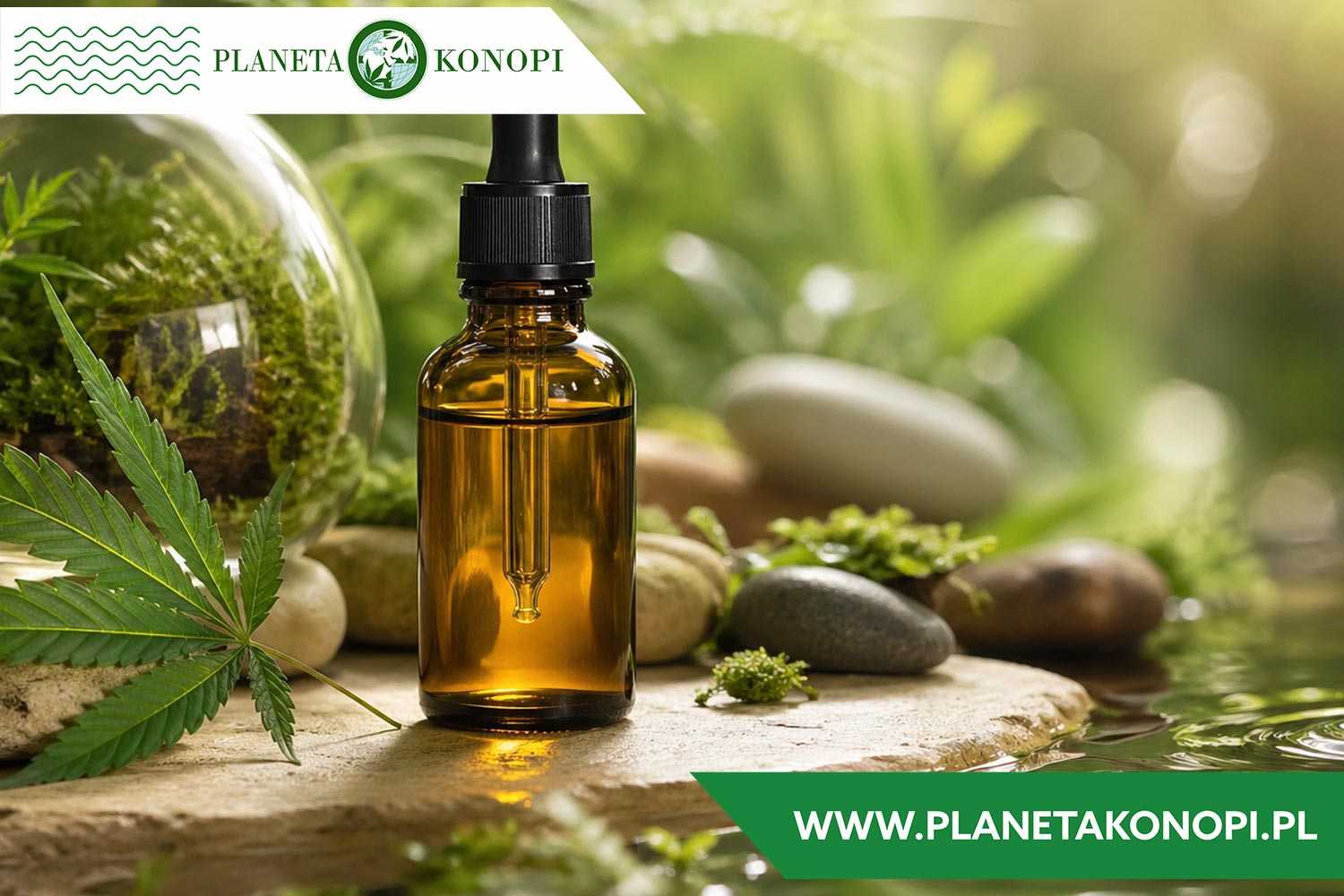 Twój wewnętrzny ekosystem – jak olejki konopne wspierają naturalną równowagę?