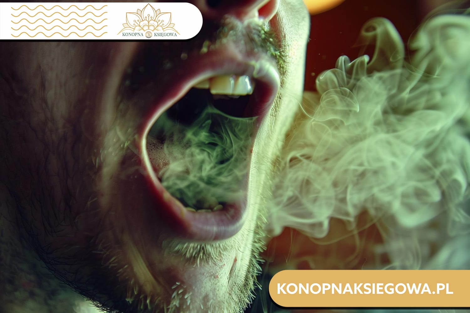 CBD a kaszel: Analiza potencjalnych korzyści i zagrożeń
