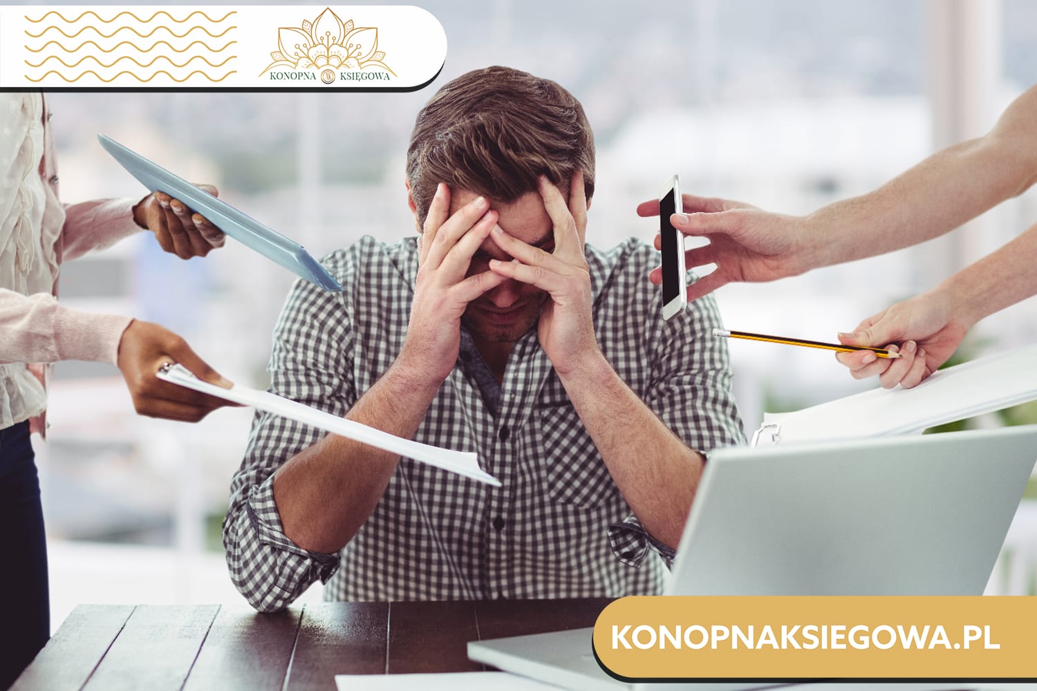 CBD Olej Kortyzol - Kompleksowy przewodnik