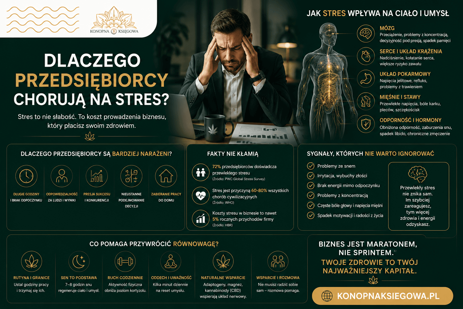 Dlaczego Przedsiębiorcy Chorują na Stres: Naturalne Wsparcie w Biznesowym Zgiełku