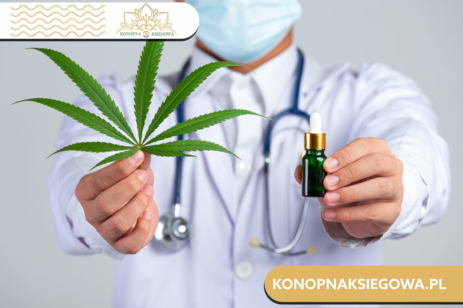 Krople CBD full spectrum, co to takiego? Kompleksowy przewodnik