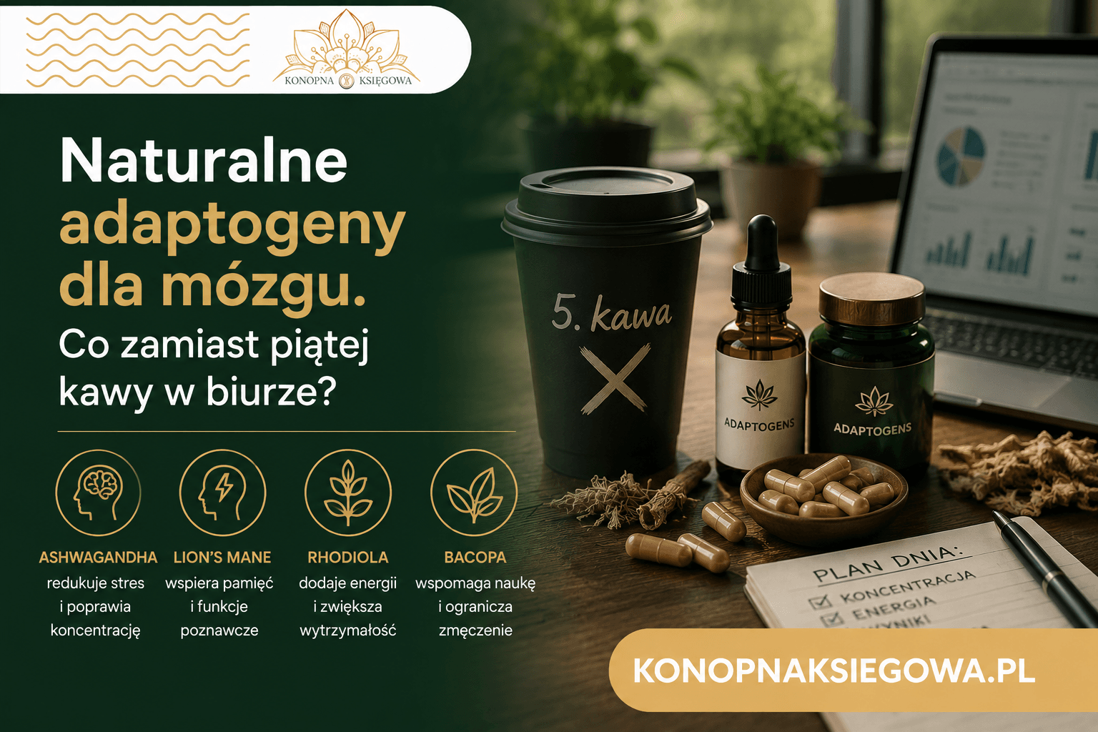Naturalne adaptogeny dla mózgu – jak wspierać koncentrację w biznesie bez piątej kawy?