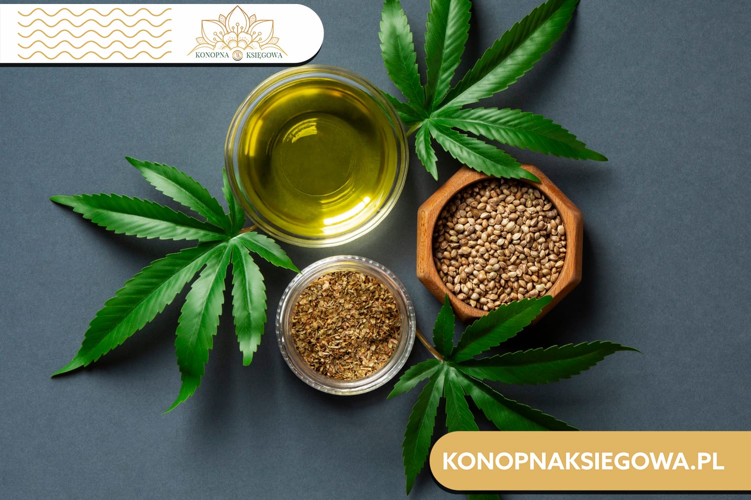 Olej konopny cbd na co pomaga