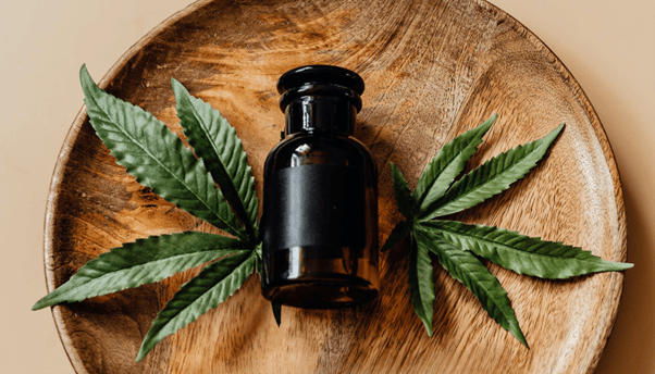 Rodzaje kannabinoidów: od natury do syntetyków
