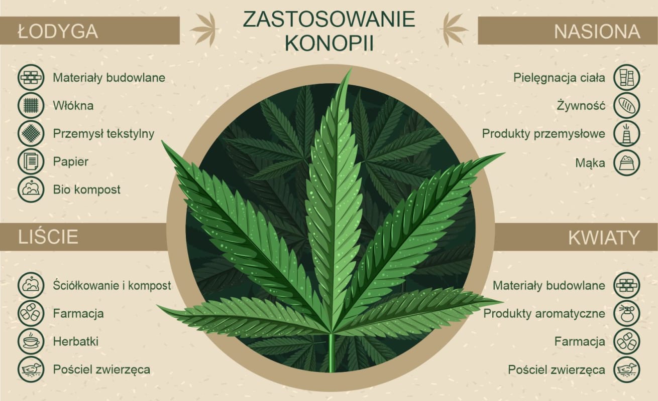 Zastosowanie konopi