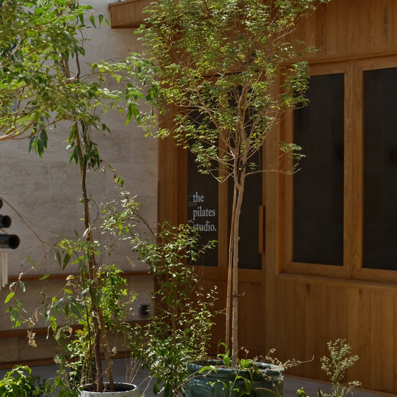 More images of Mente Studio