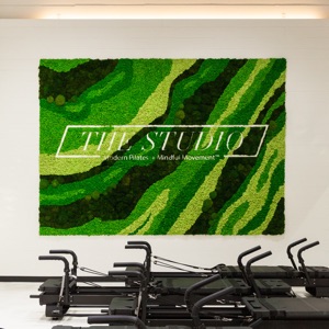 Studio image of The Studio