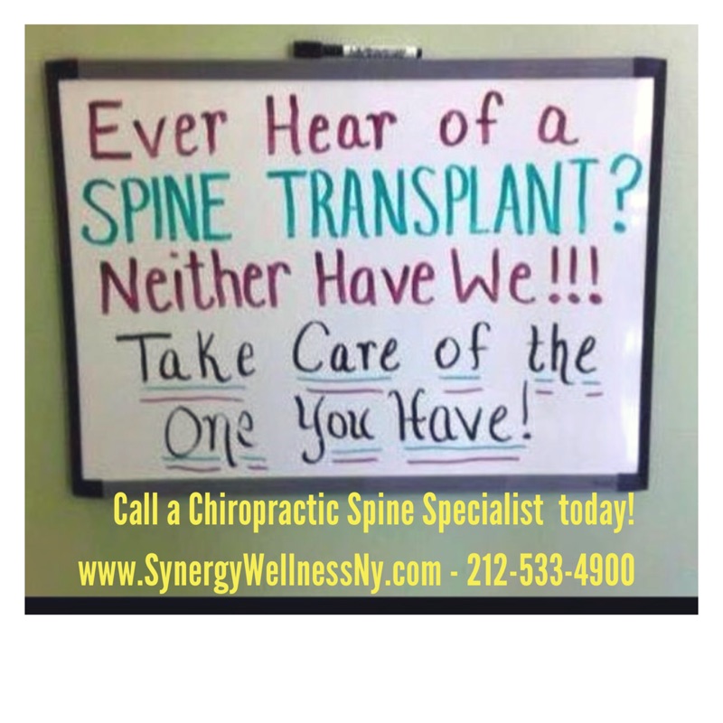 More images of synergy wellness chiropractic and physical therapy