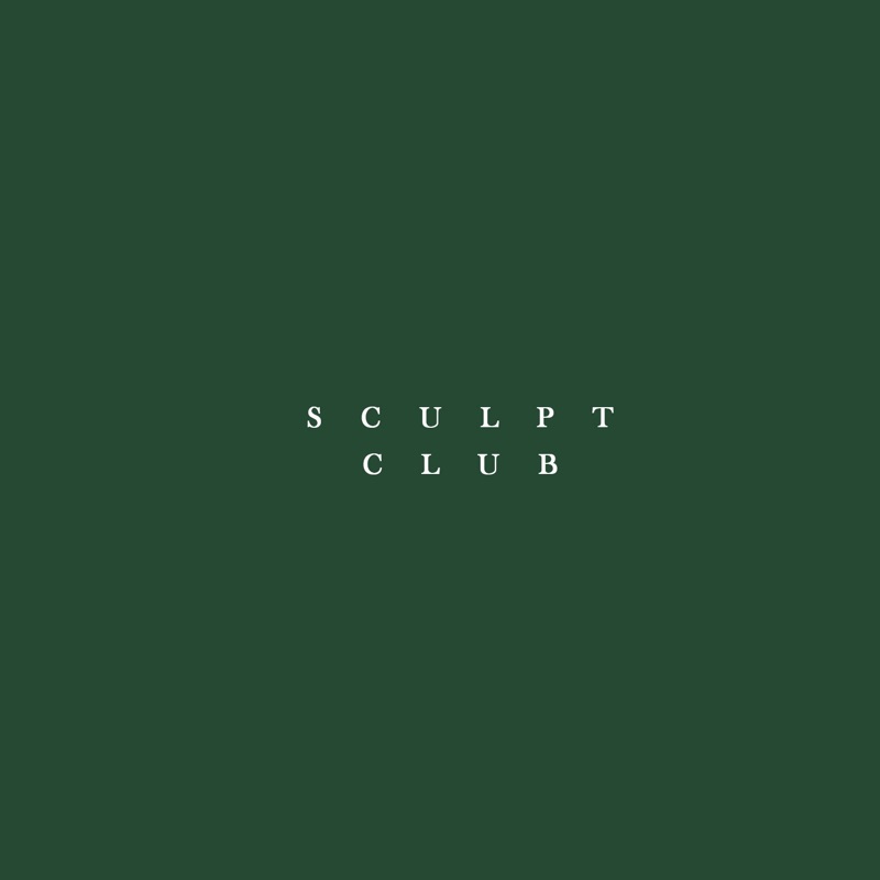 More images of sculpt club
