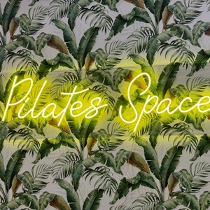 Studio image of Pilates Space Florida