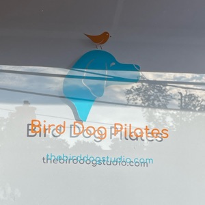 Studio image of Bird Dog Pilates