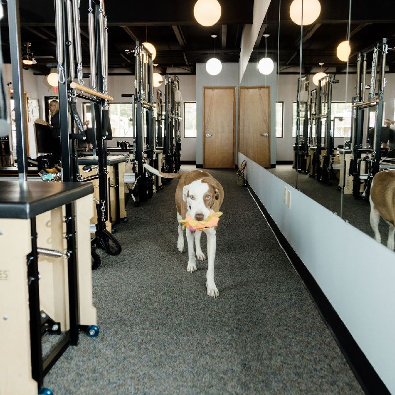 More images of Pilates Center Of Omaha