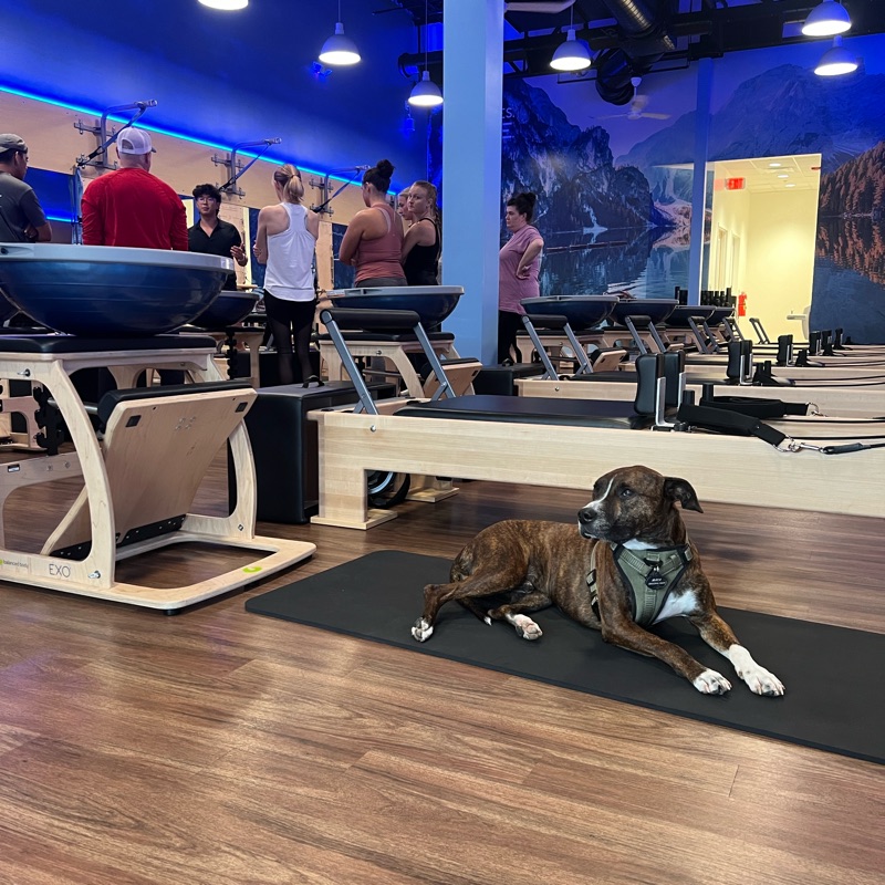 More images of Club Pilates Tuscaloosa