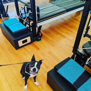 Studio image of Fitlab Pilates