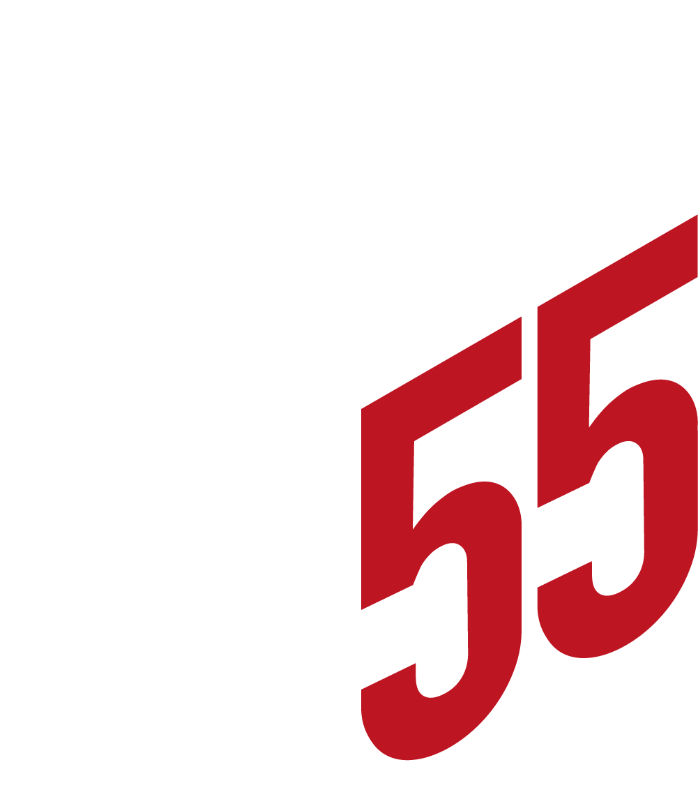 Logo Cube55