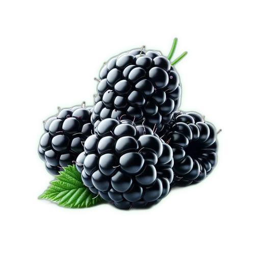 Blackberry