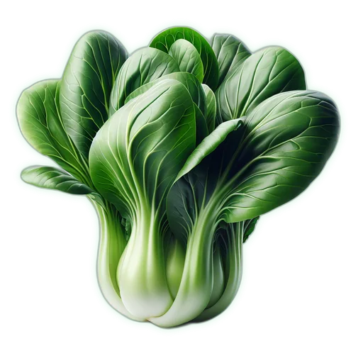 Bok Choy