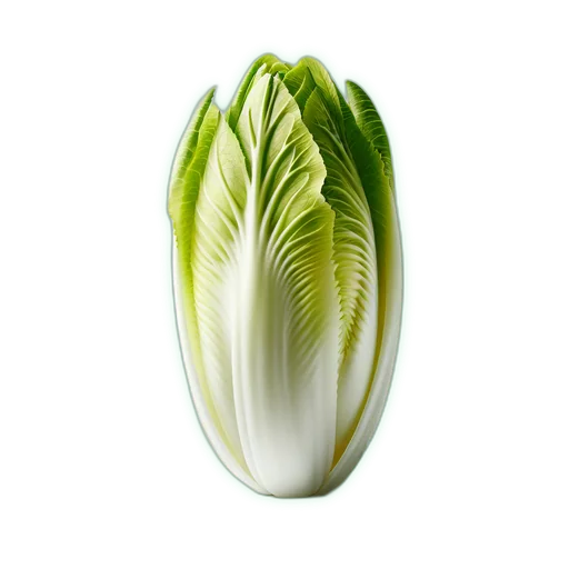 Endive