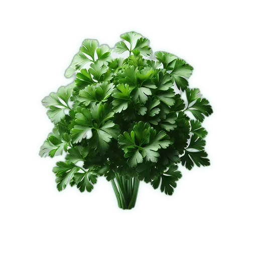 Parsley