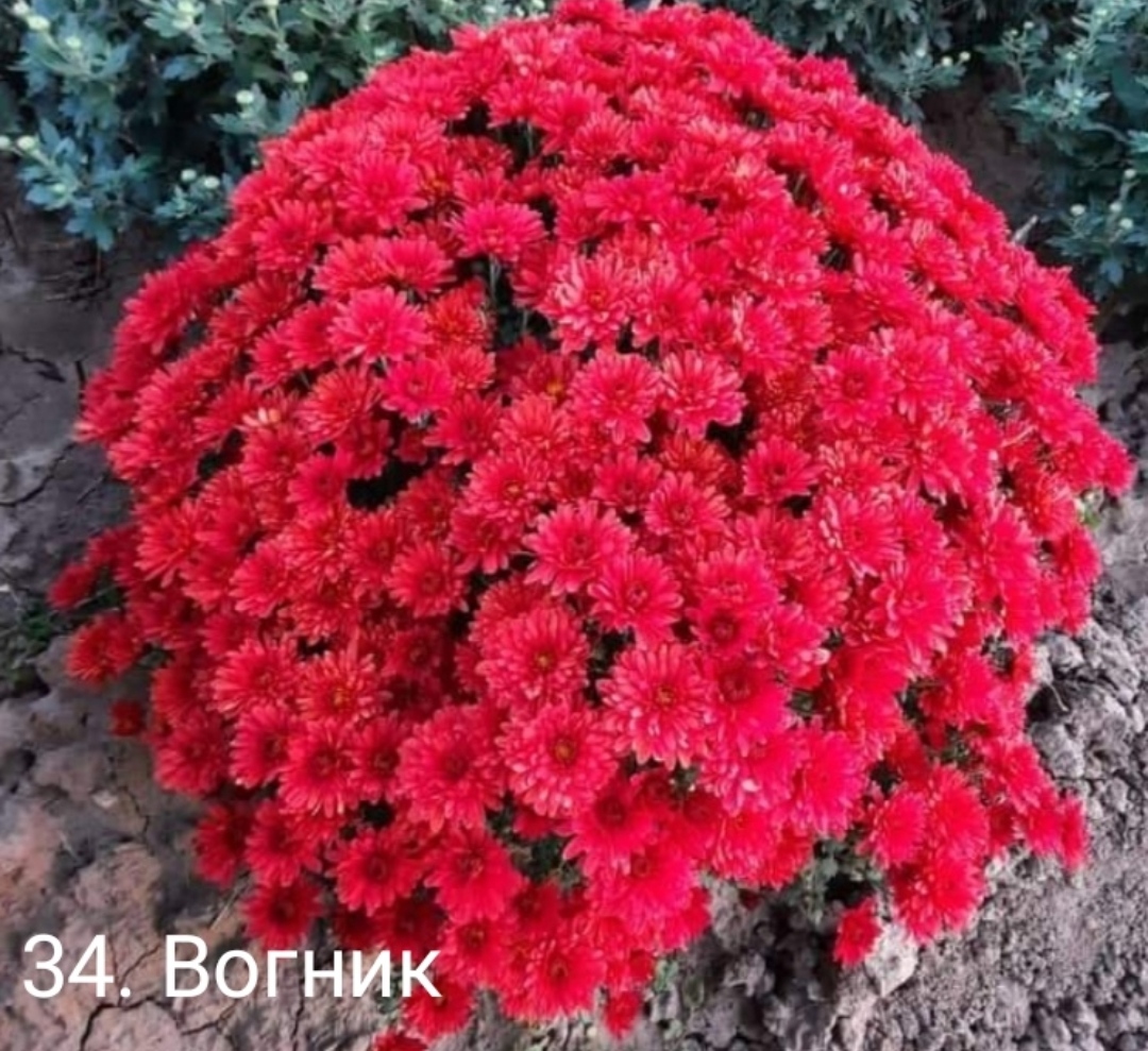 34. Вогник