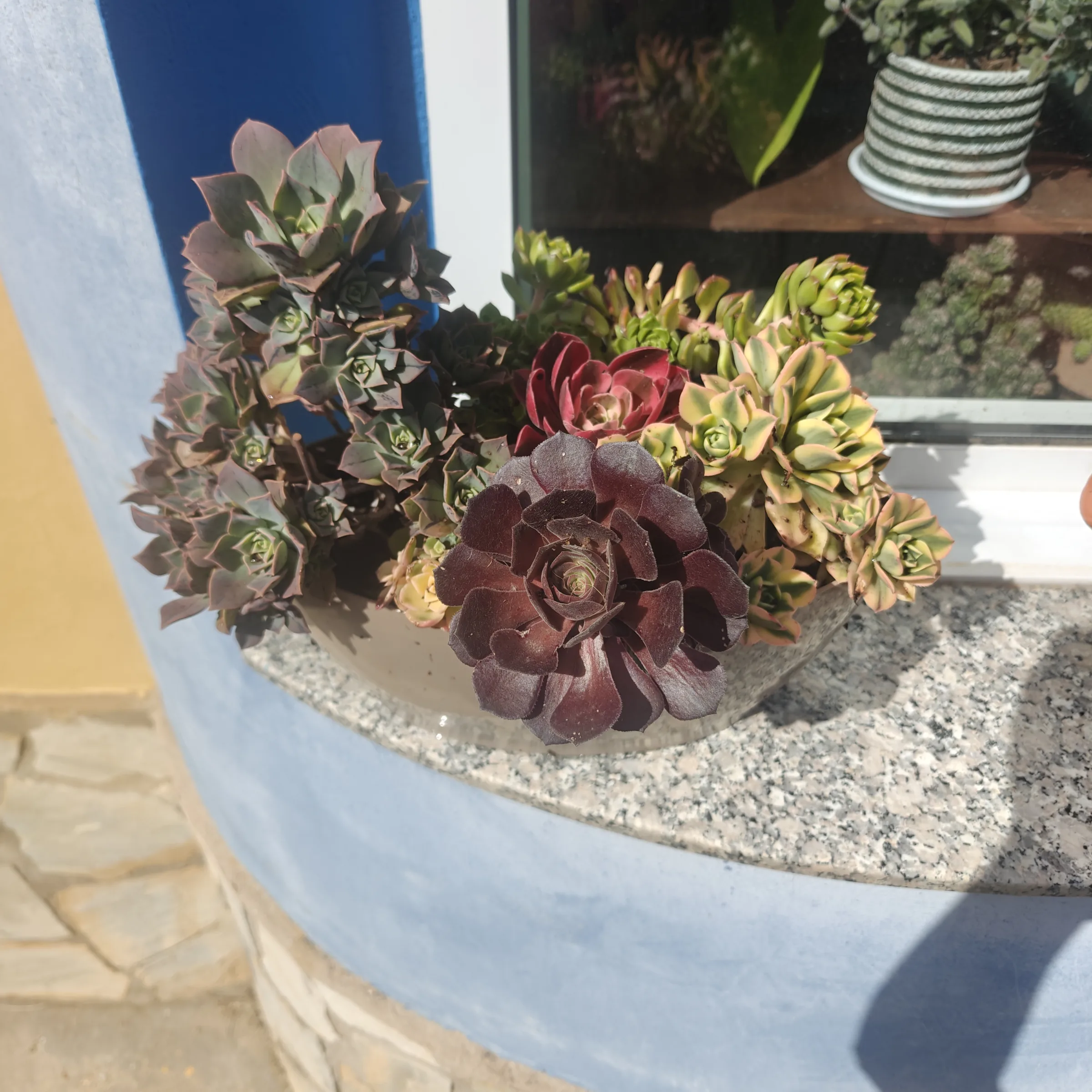 Foto de galería