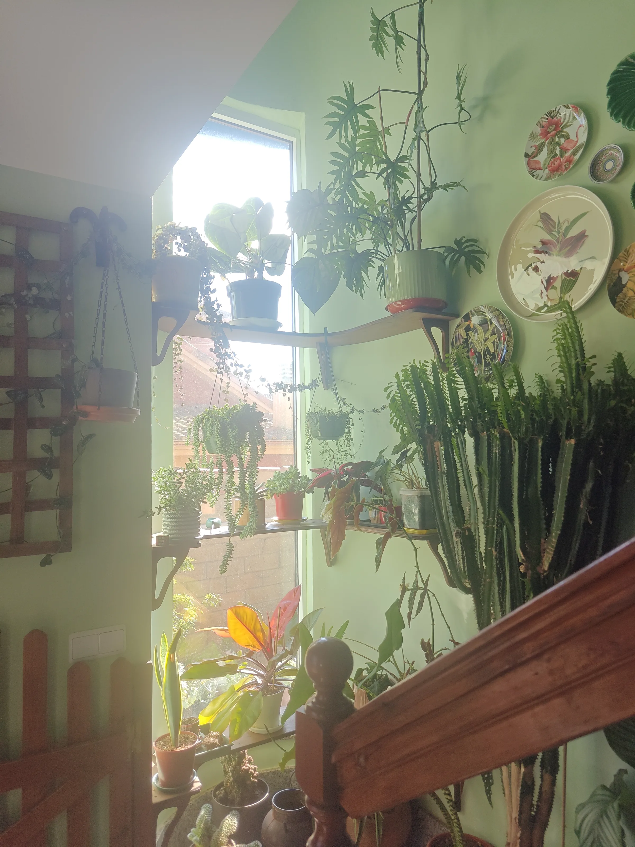 Foto de galería