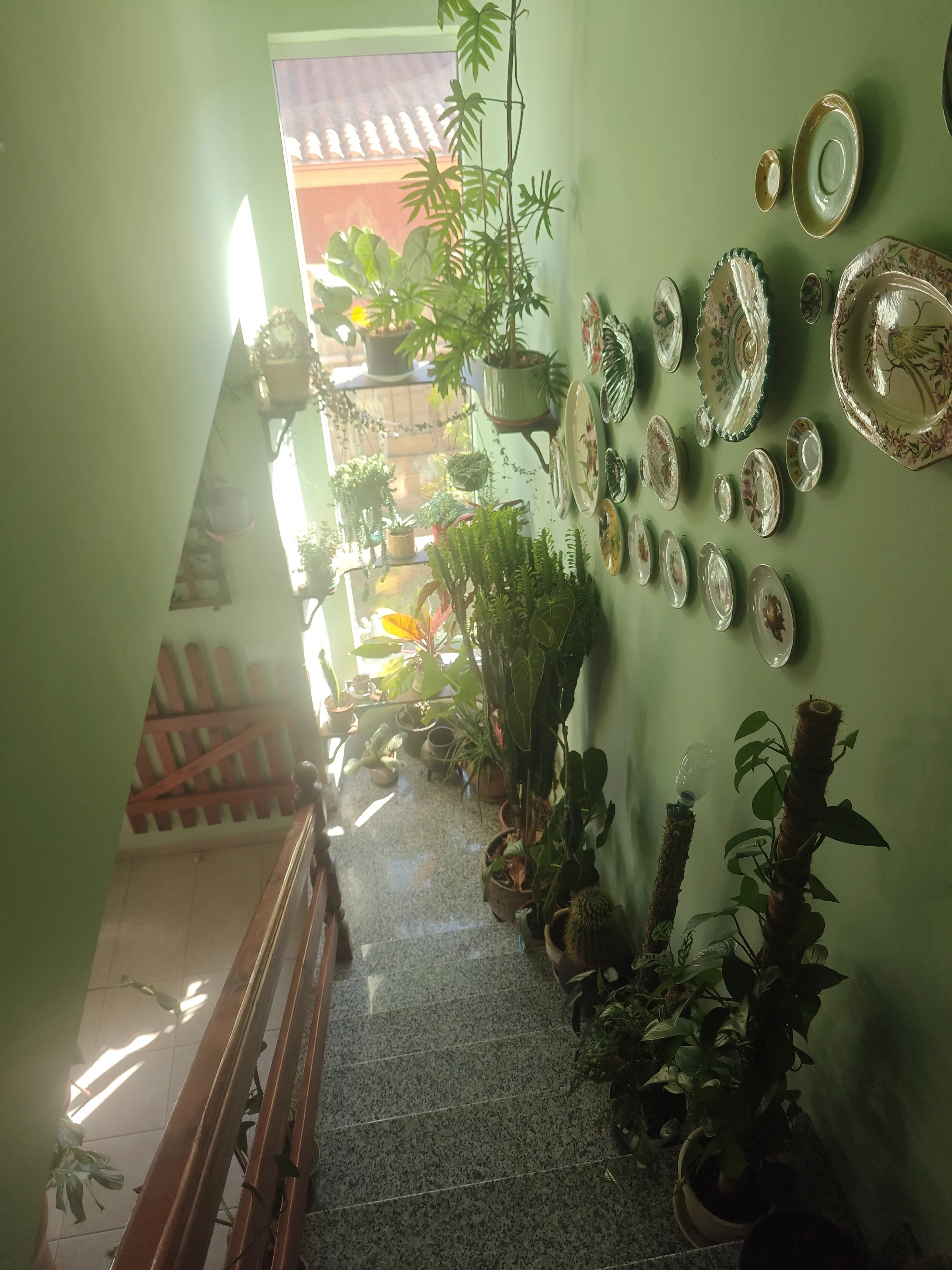 Foto de galería