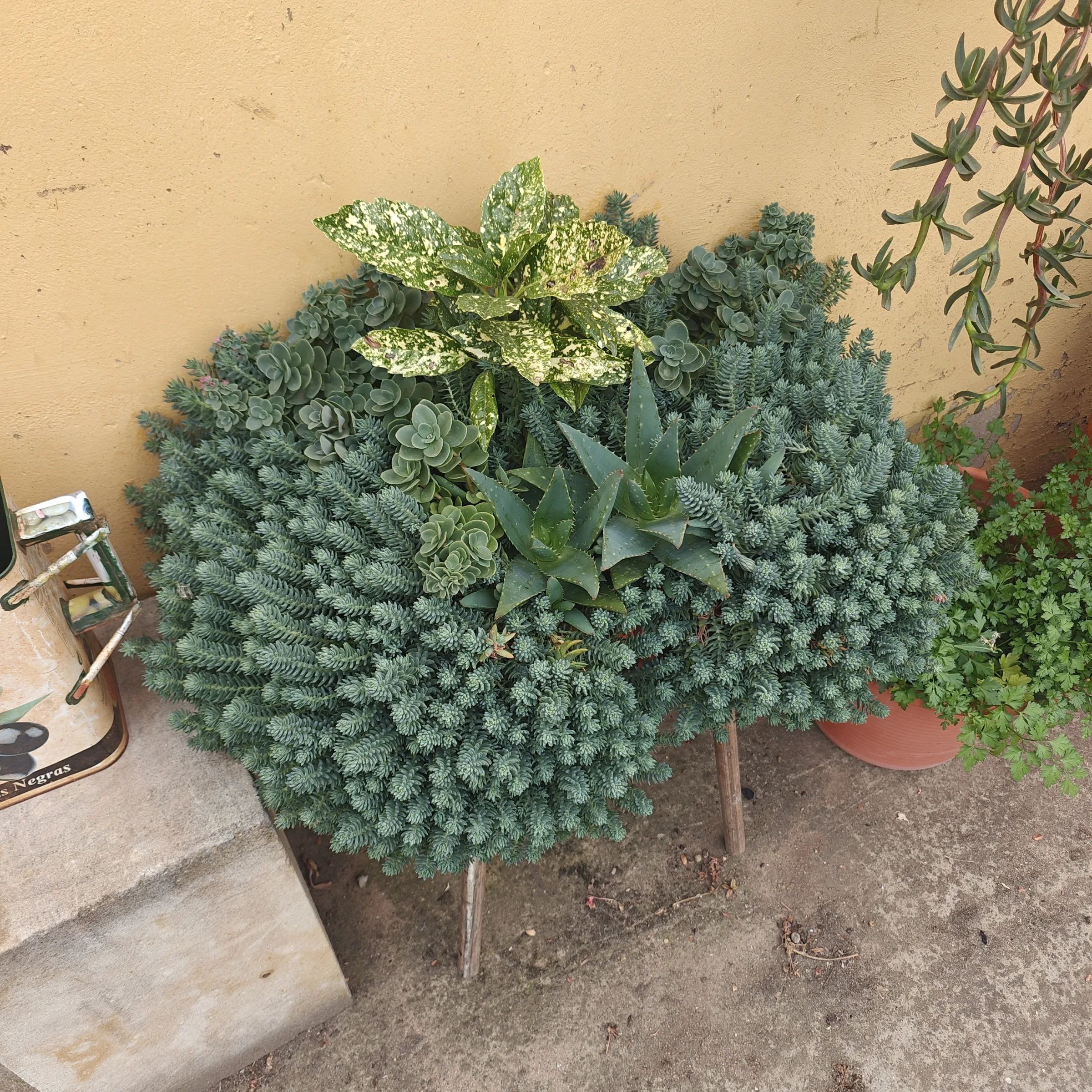 Foto de galería