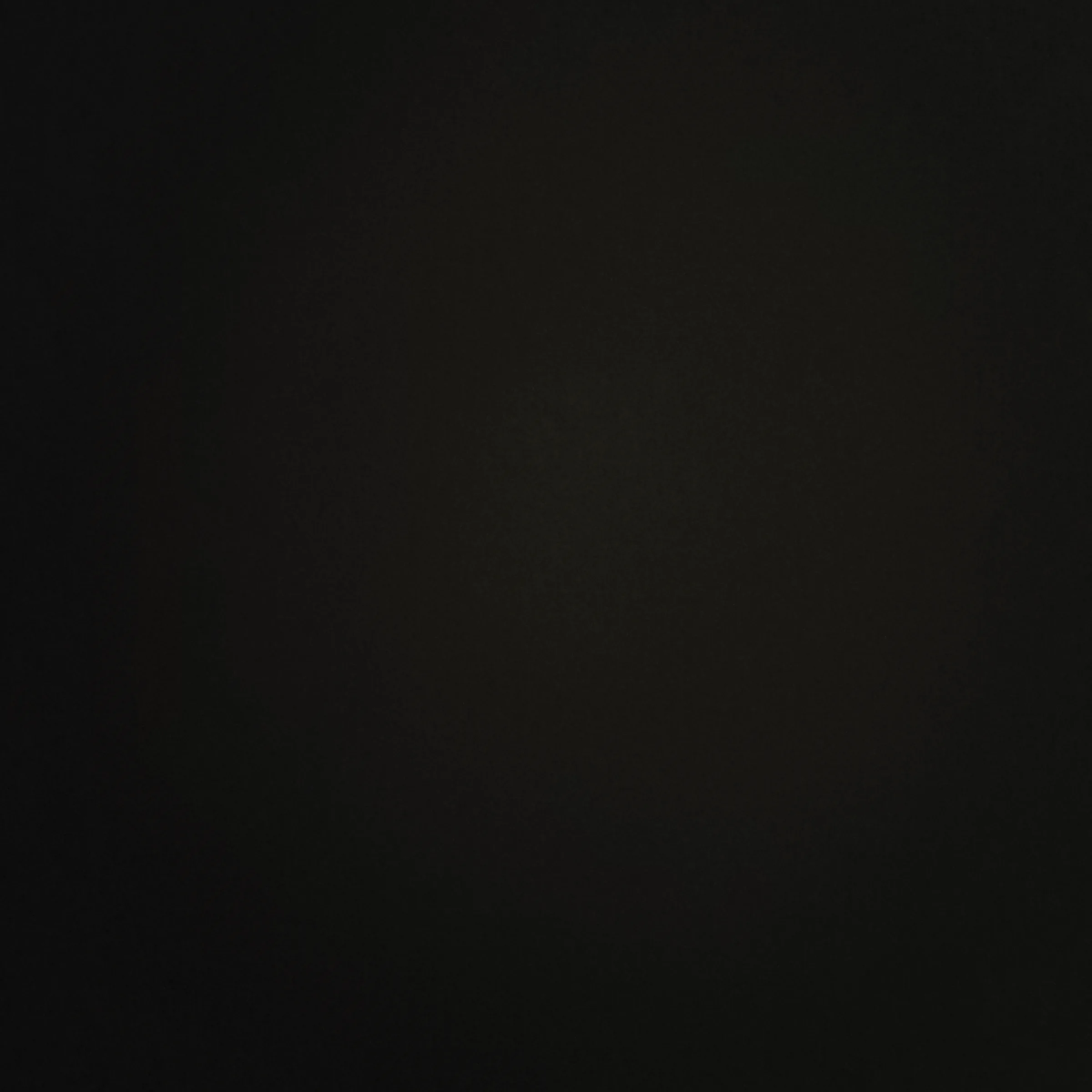 Foto de galería