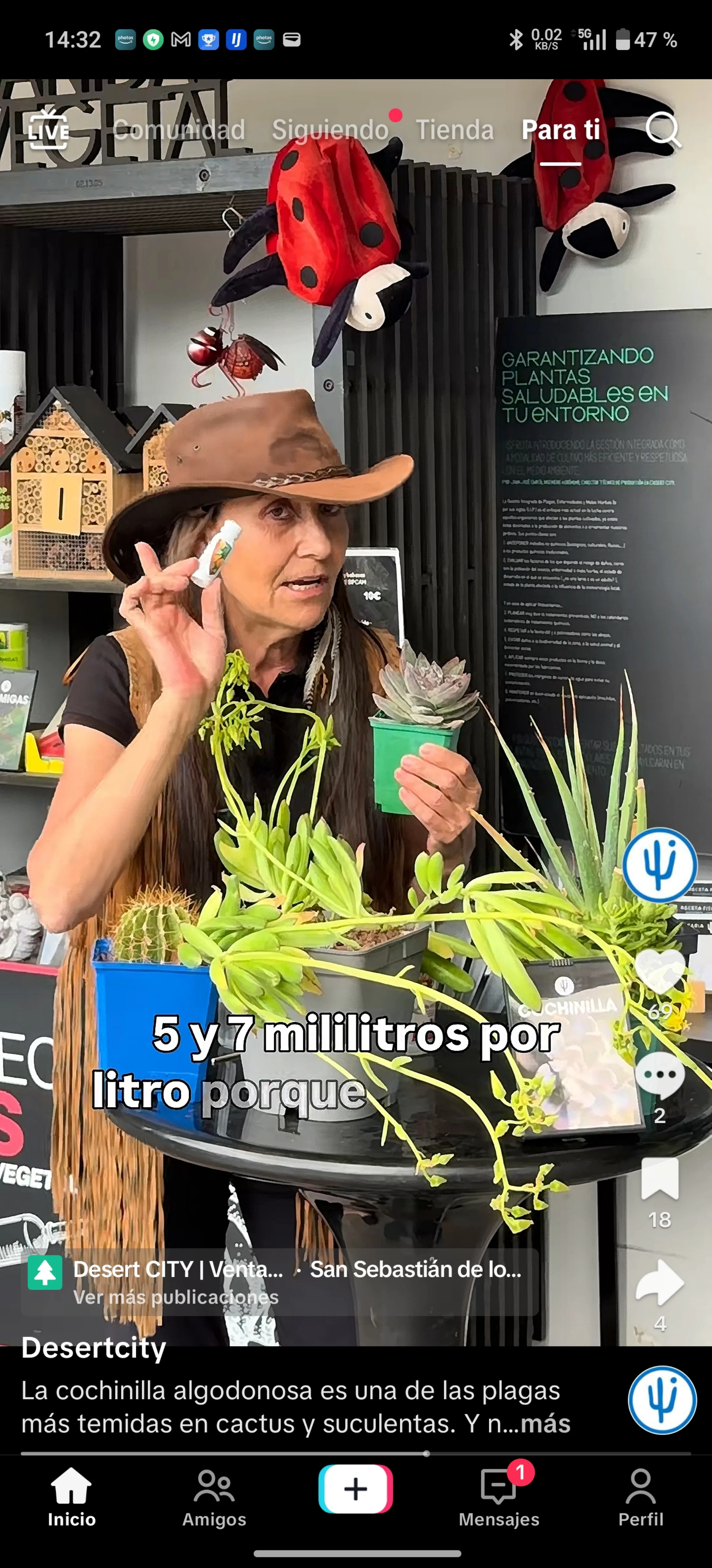 Foto de galería