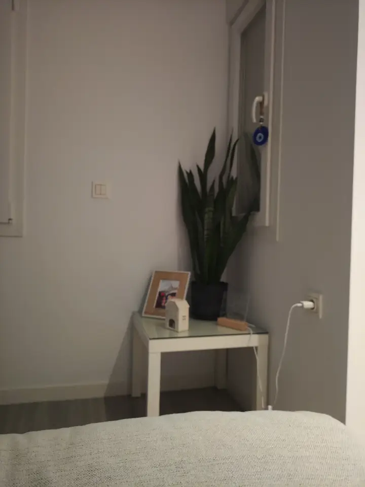 Sansevieria hyacinthoides 1