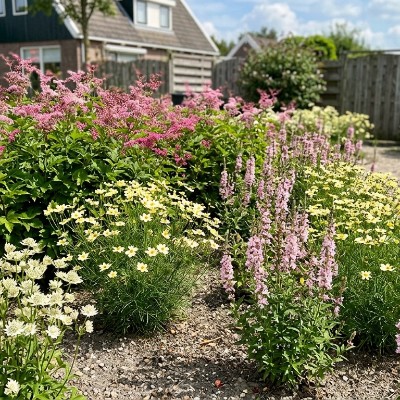 De Natuurlijke Weide Pakket