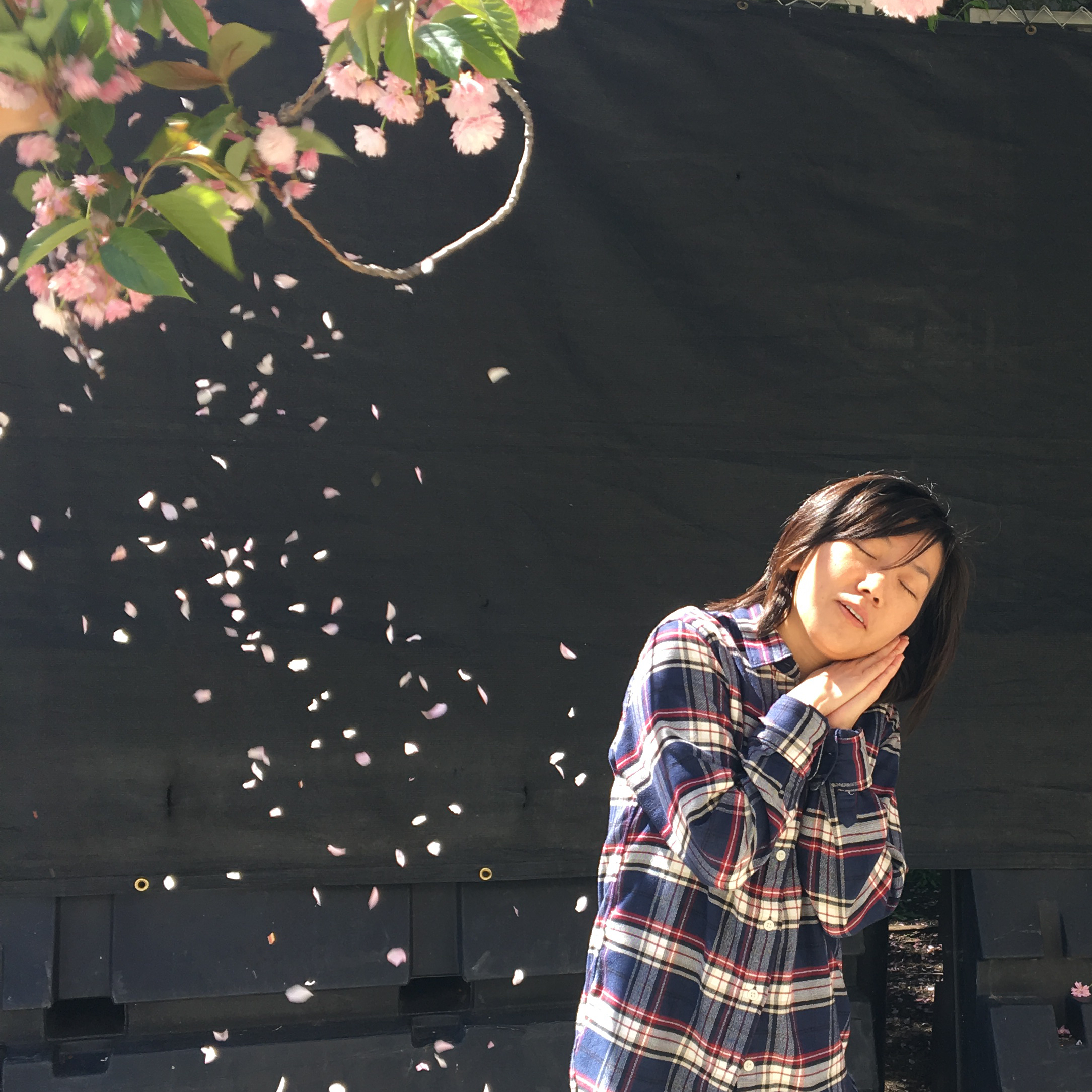 Yuko profile picture