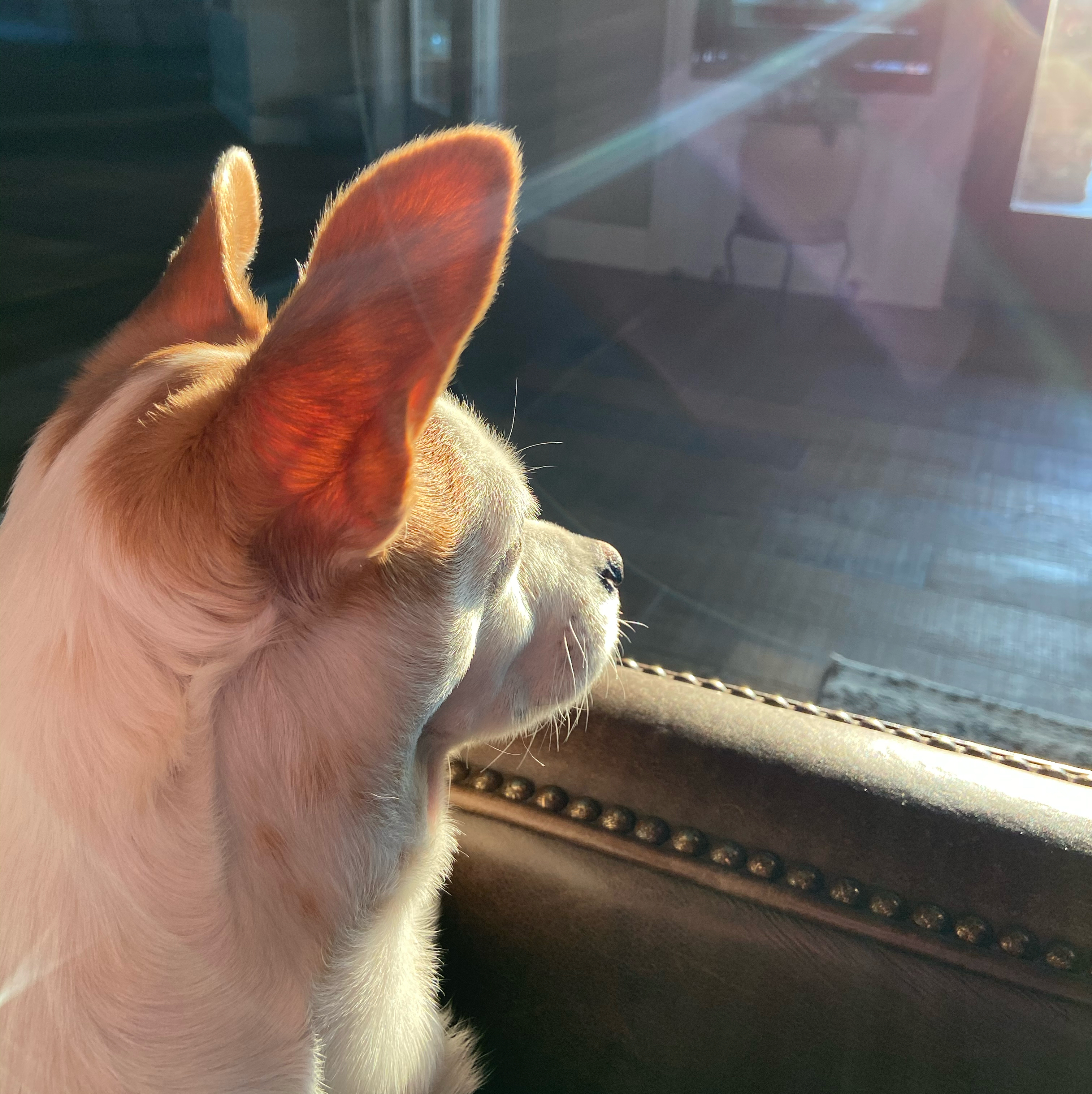 Like DeeDee J profile picture