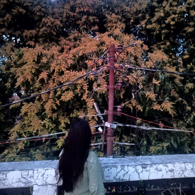 🍁kalyani🍁 profile picture